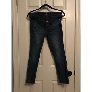 Madewell - 10" High Rise Skinny: Copeland Wash